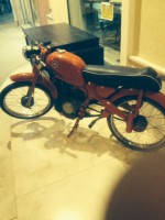 /album/galleria-foto-galleria/foto-2-6-jpg1/